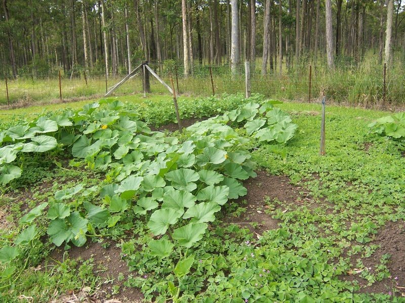 69 The Bucketts Way, Bundabah NSW 2324