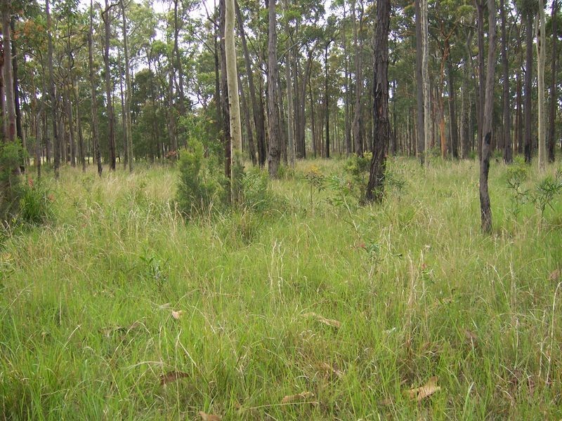 69 The Bucketts Way, Bundabah NSW 2324