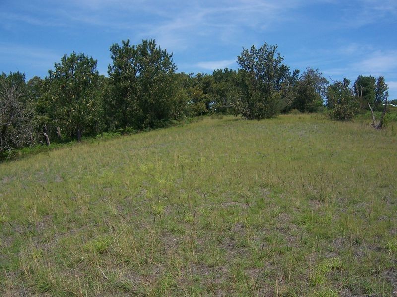 2181 Nelson Bay Road, Williamtown NSW 2318