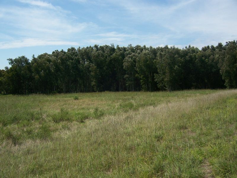 2181 Nelson Bay Road, Williamtown NSW 2318