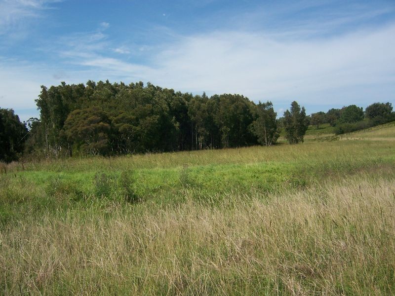 2181 Nelson Bay Road, Williamtown NSW 2318