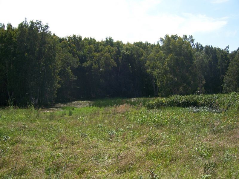 2181 Nelson Bay Road, Williamtown NSW 2318