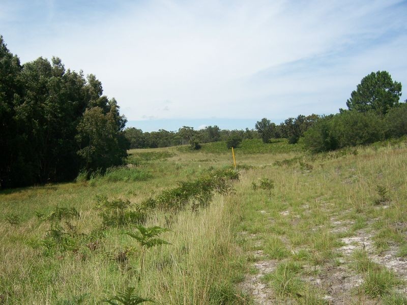 2181 Nelson Bay Road, Williamtown NSW 2318