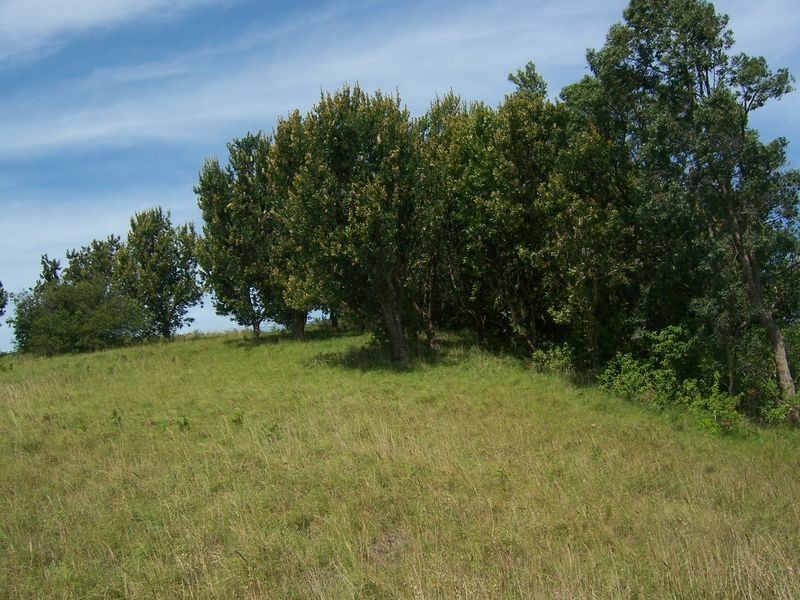 2181 Nelson Bay Road, Williamtown NSW 2318