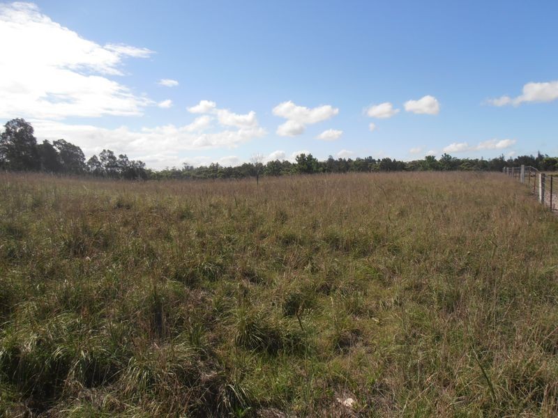 2249 Nelson Bay Road, Williamtown NSW 2318