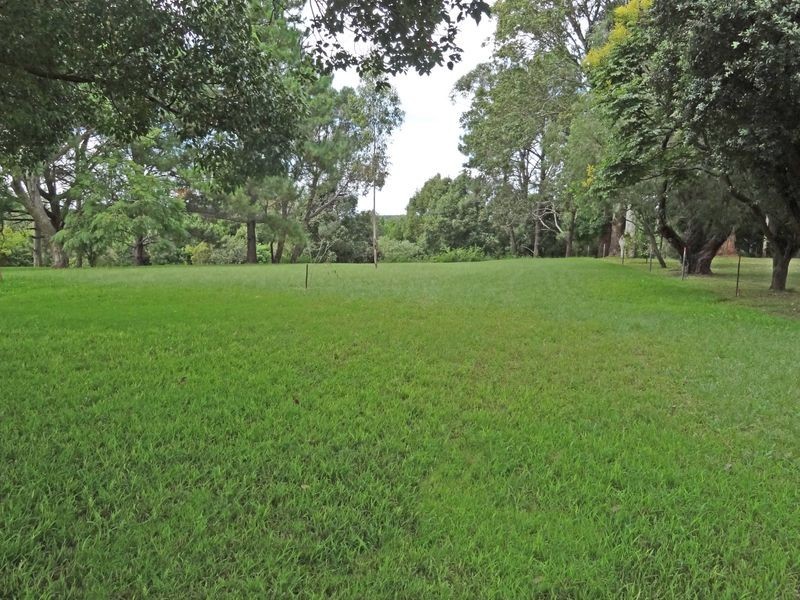 12 Elizabeth Avenue, Raymond Terrace NSW 2324