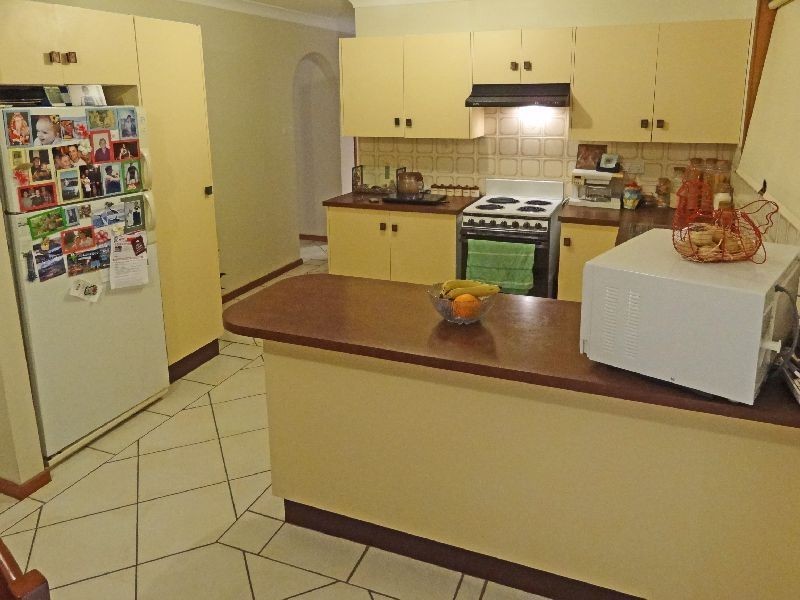 145 Mount Hall Road, Raymond Terrace NSW 2324