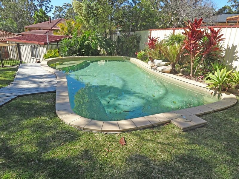 17 Kindlebark Drive, Medowie NSW 2318