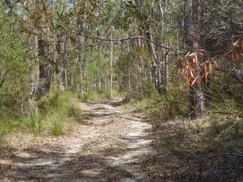 21 Splityard Road, The Branch NSW 2425