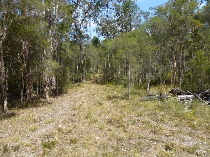 21 Splityard Road, The Branch NSW 2425