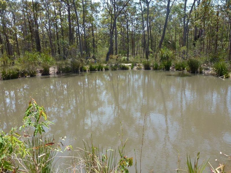 21 Splityard Road, The Branch NSW 2425