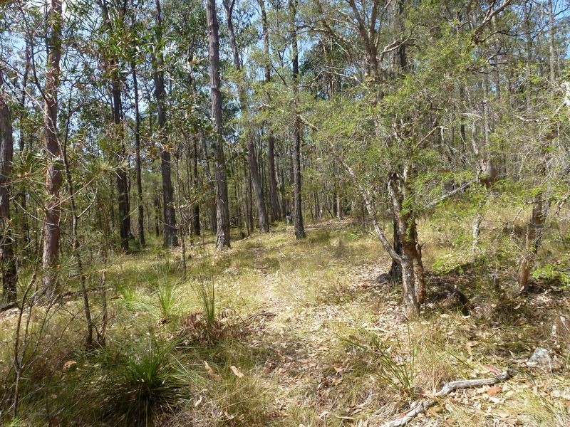 21 Splityard Road, The Branch NSW 2425