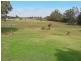 15 Holwell Circuit, Raymond Terrace NSW 2324