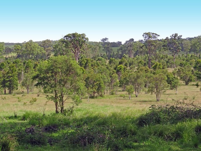 11 Roundhill Crescent, Karuah NSW 2324