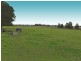 834 Newline Road, Eagleton NSW 2324