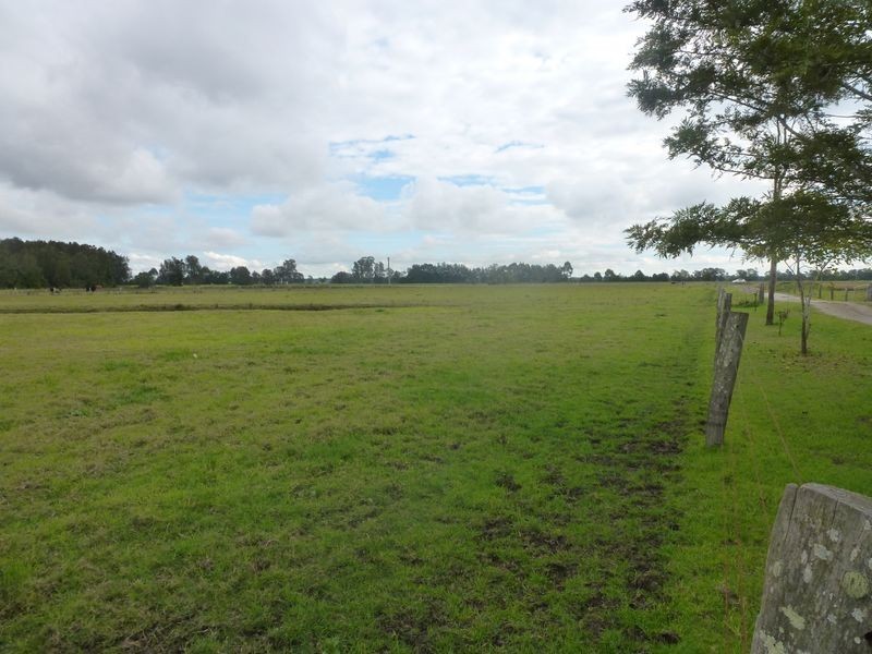 834 Newline Road, Eagleton NSW 2324