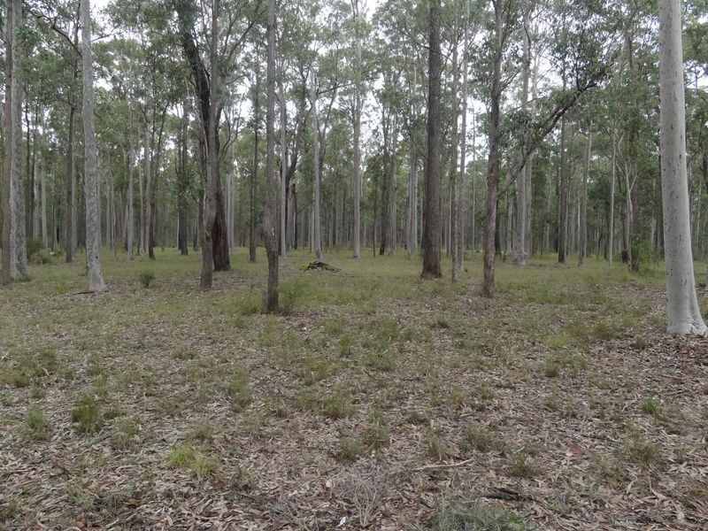 3 Oakendale Road, Glen Oak NSW 2320