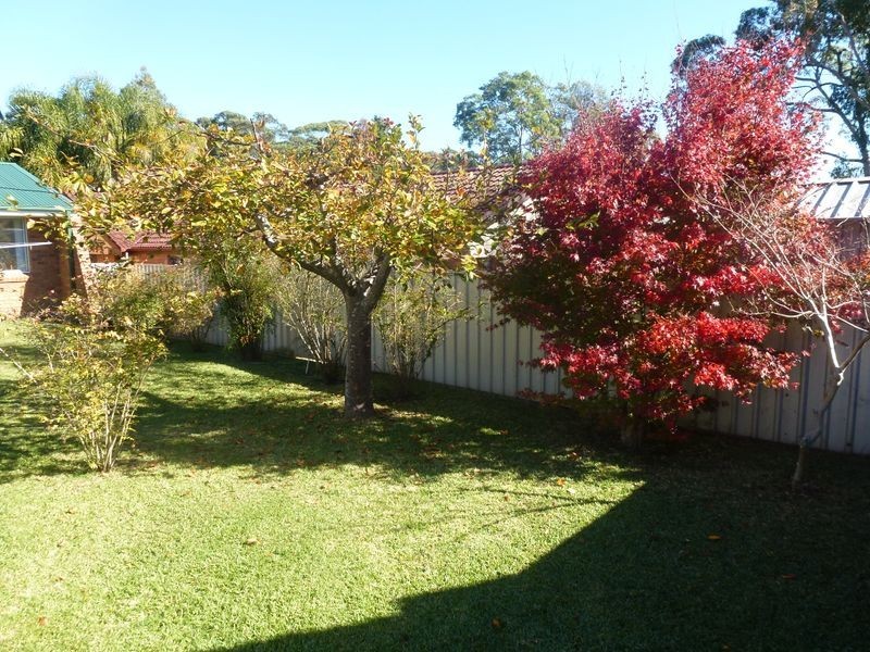 67 Ferodale Road, Medowie NSW 2318