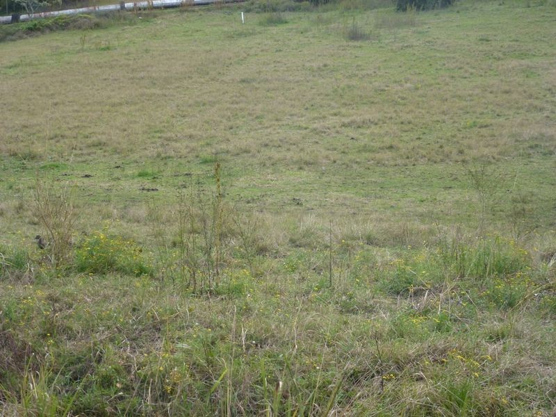 Lot  9 Section 37 DP 758899 Clarence Town Road, Seaham NSW 2324