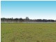 232 Seaham Road, Nelsons Plains NSW 2324