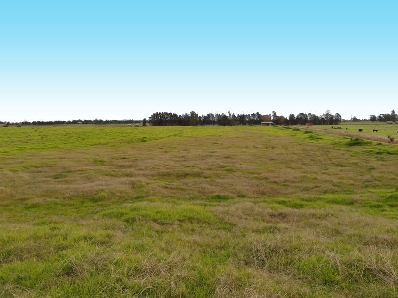 232 Seaham Road, Nelsons Plains NSW 2324