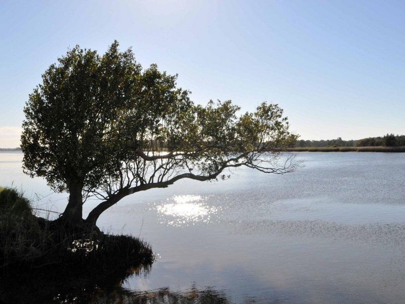 163 Nalleys Creek Road, Millers Forest NSW 2324