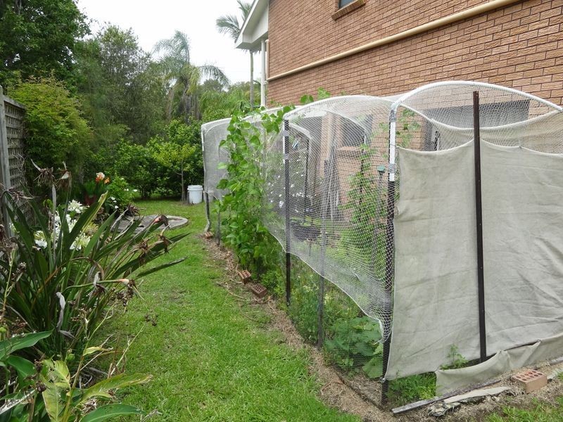 55a Old Coach Road, Limeburners Creek NSW 2324