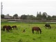 lot 2 Monkleys Road, Millers Forest NSW 2324