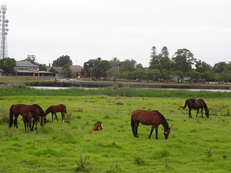lot 2 Monkleys Road, Millers Forest NSW 2324