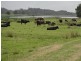 lot 2 Monkleys Road, Millers Forest NSW 2324