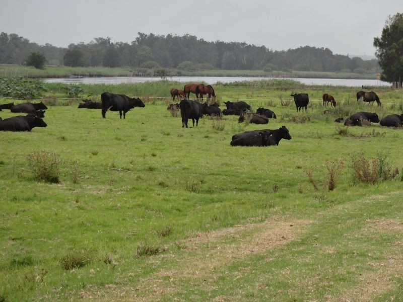lot 2 Monkleys Road, Millers Forest NSW 2324
