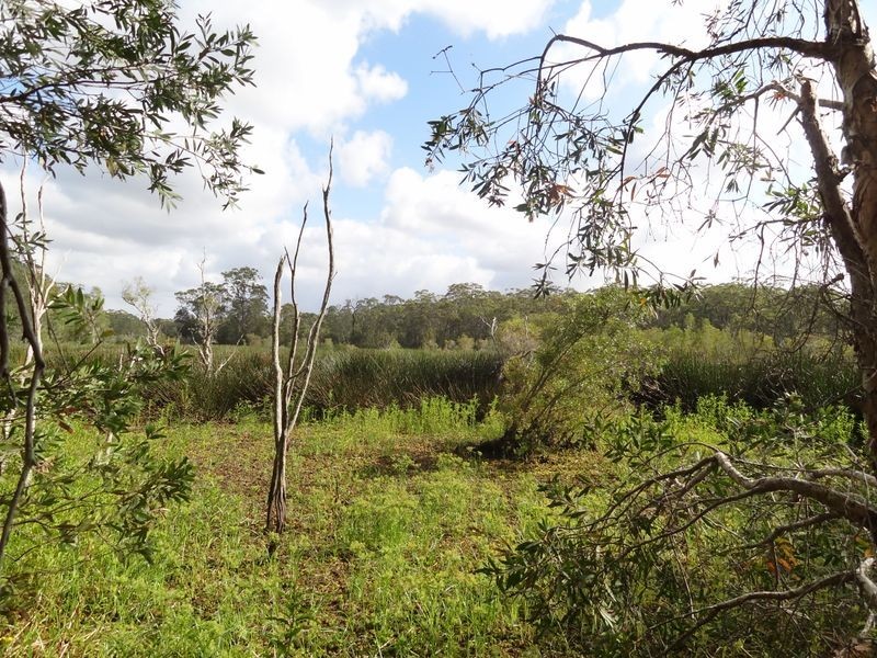 339 Tarean Road, Karuah NSW 2324