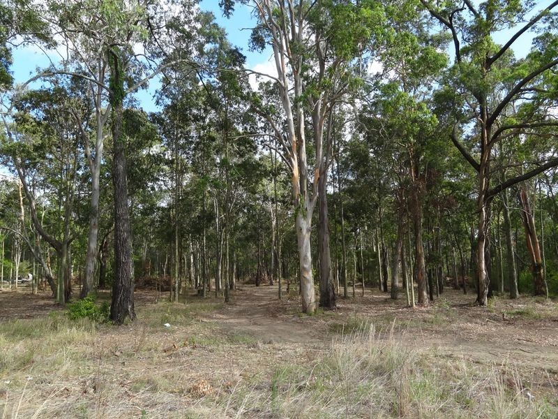 339 Tarean Road, Karuah NSW 2324