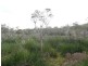 339 Tarean Road, Karuah NSW 2324