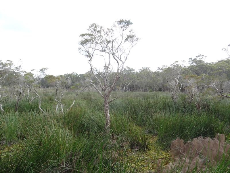 339 Tarean Road, Karuah NSW 2324