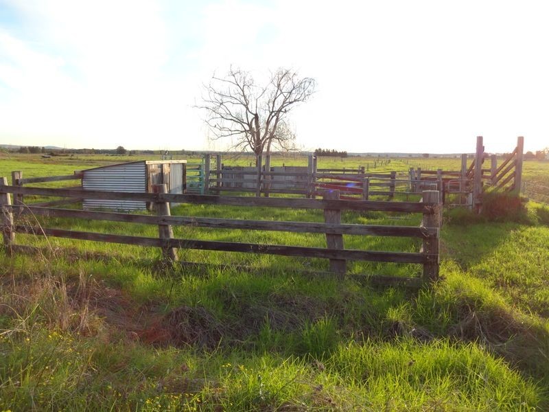 124 Woodberry Road, Millers Forest NSW 2324