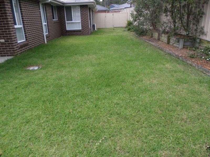 11 Johnson Drive, East Maitland NSW 2323