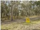 Lots 36 – Timber Top Road, Glen Oak NSW 2320
