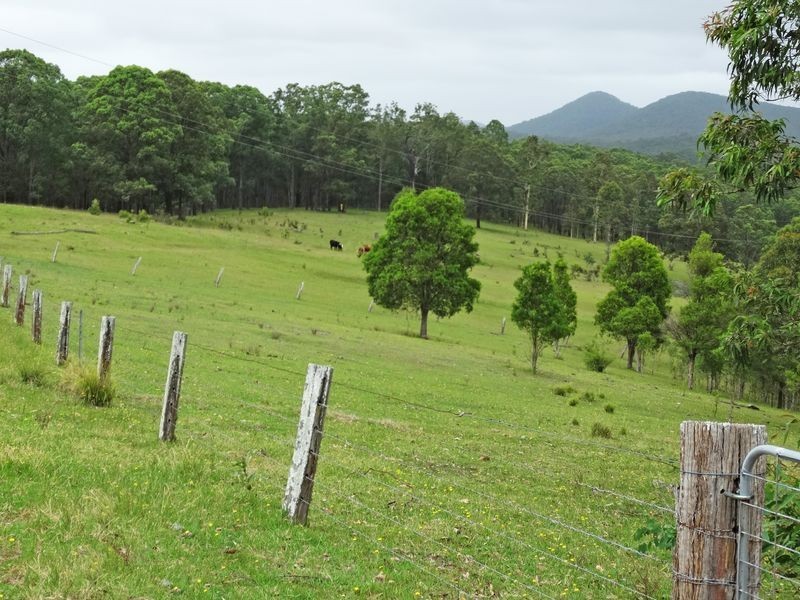 Lot 3 Booral Road, Girvan NSW 2425