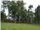 Lot 3 Booral Road, Girvan NSW 2425