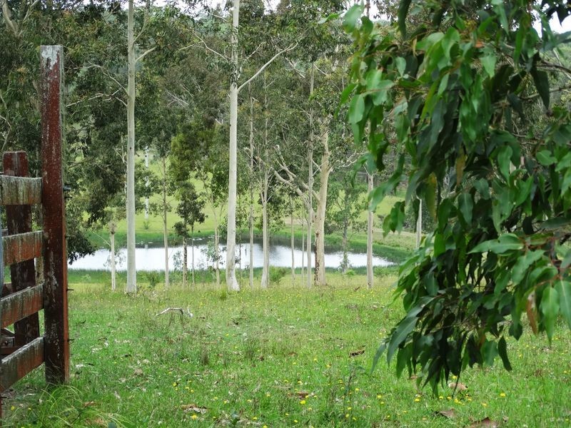 Lot 3 Booral Road, Girvan NSW 2425