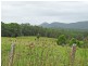 Lot 3 Booral Road, Girvan NSW 2425