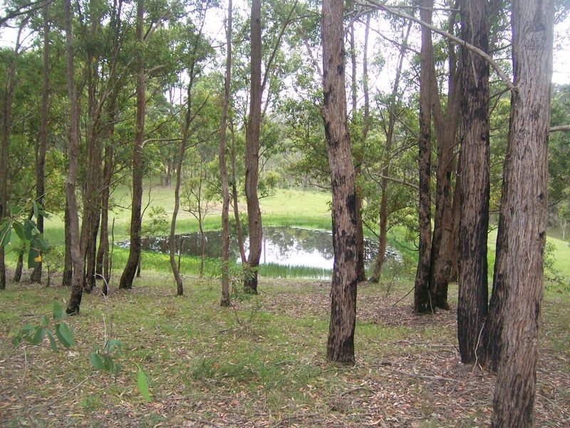 Lot 3 Booral Road, Girvan NSW 2425