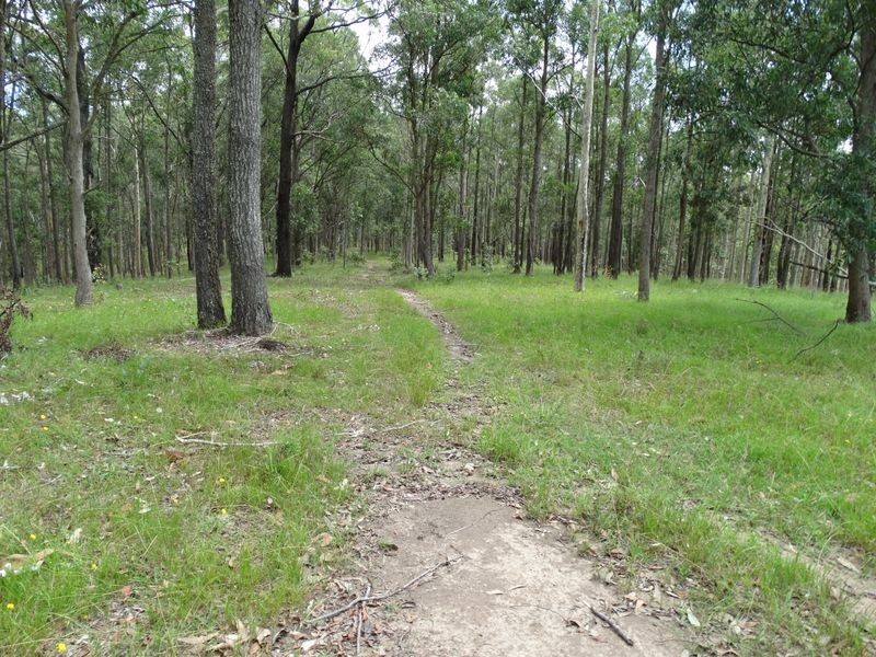 Lot 3 Booral Road, Girvan NSW 2425
