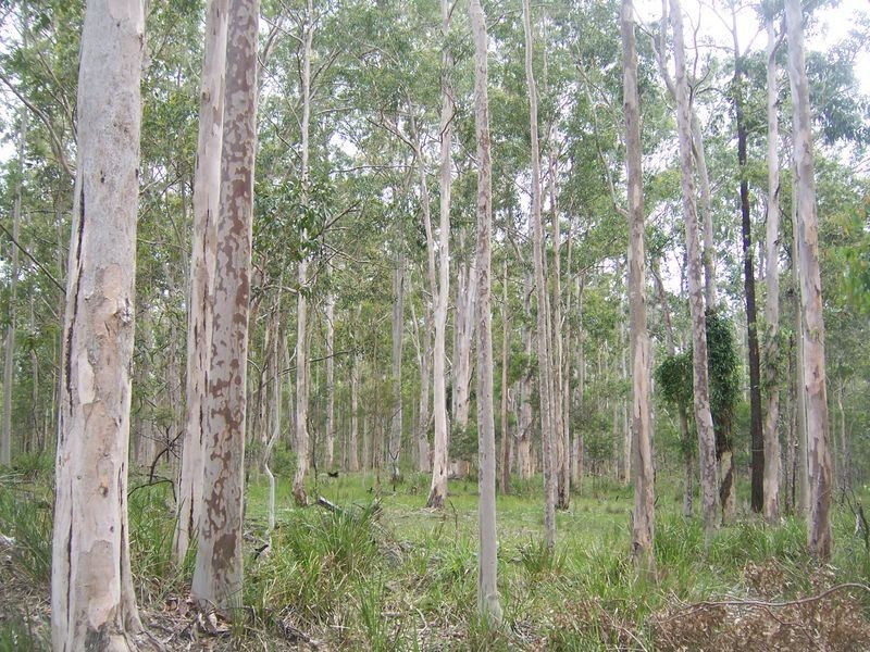 Lot 3 Booral Road, Girvan NSW 2425