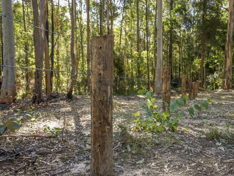 Lot 43 Timbertop Road, Glen Oak NSW 2320