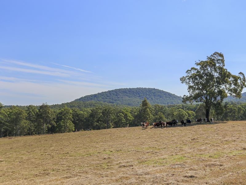 566 The Branch Lane, The Branch NSW 2425