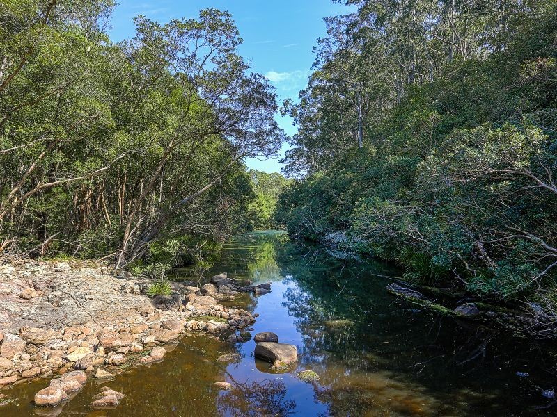 566 The Branch Lane, The Branch NSW 2425