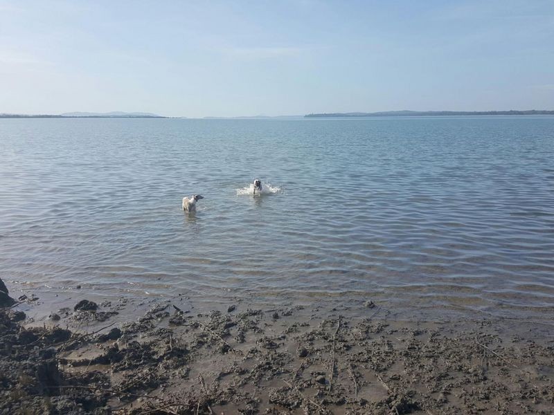 175 Moffats Road, Swan Bay NSW 2324