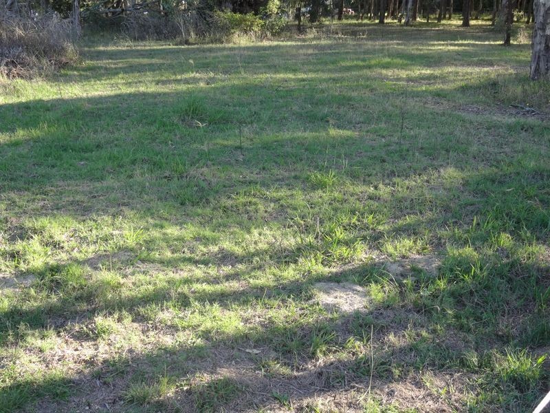 1 Porphyry Street, Seaham NSW 2324